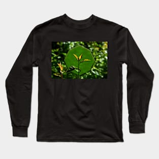 Nature Background for Logo Long Sleeve T-Shirt